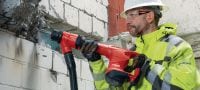 TE 500 SDS-max hakhamer Robuuste SDS Max (TE-Y)-sloophamer voor lichte hakwerkzaamheden van beton en metselwerk Toepassingen 8