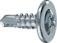 S-DD 03 Z 02 Zelfborende assembleerschroeven Metalen binnenframeschroef met kruiskop (verzinkt) voor bevestiging van bout aan rail