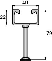 HAC-C-P warmgewalste ankerrail Warmgewalste instortankerrails in standaardmaten en -lengtes, geschikt voor een breed scala aan toepassingen