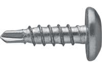 S-MD01PSS zelfborende metalen schroeven Zelfborende cilinderkopschroef (A4 roestvrij staal) zonder sluitring voor dunne metaal-op-metaal sluitingen (tot 3 mm)