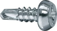 S-DD 02 Z 02 Metalen binnenframeschroef met kruiskop (verzinkt) voor bevestiging van bout aan rail