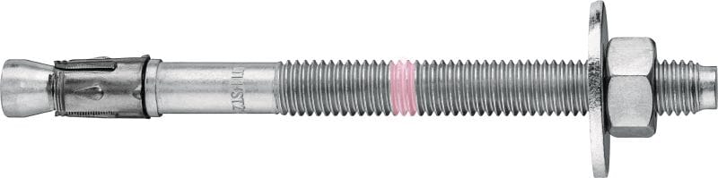 HST2 V3 BW segmentanker (grote ring) Segmentanker (M8-M16) met hoge prestaties voor statische en seismische belastingen in gescheurd beton (koolstofstaal, grote ring)